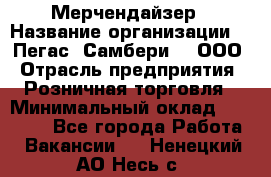 Мерчендайзер › Название организации ­ "Пегас" Самбери-3, ООО › Отрасль предприятия ­ Розничная торговля › Минимальный оклад ­ 23 500 - Все города Работа » Вакансии   . Ненецкий АО,Несь с.